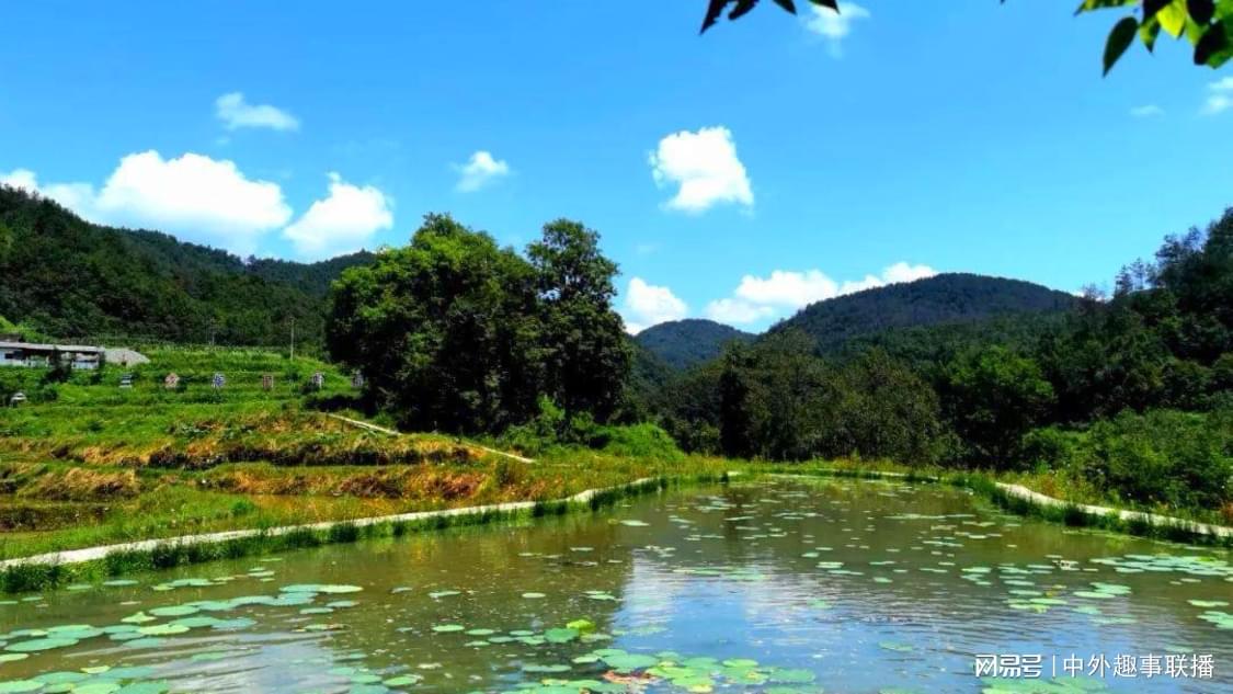 ks业务全网最低价