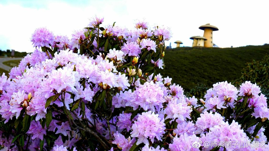 24小时自助下单平台网站便宜dy：实惠短视频随心看梦想好实现_除了红人阁快手互赞软件还有什么